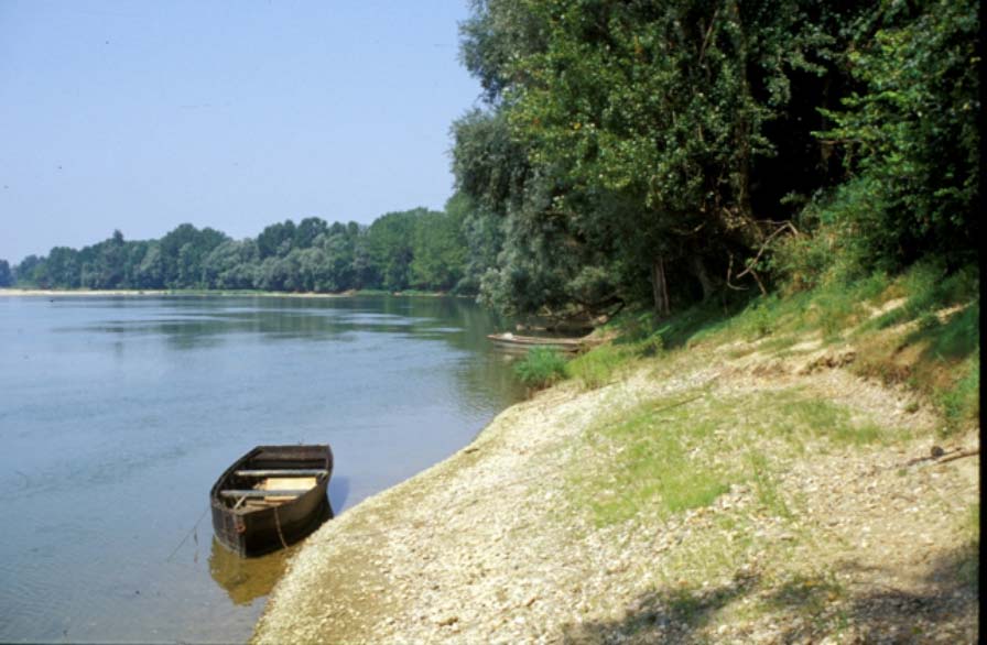 La Garonne dans les environs de Marmande en Lot-et-Garonne (Philippe Valette)