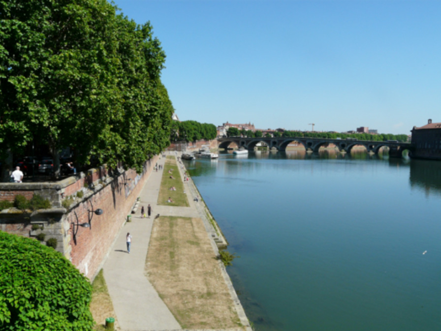 Le pont neuf à Toulouse (Philippe Valette)